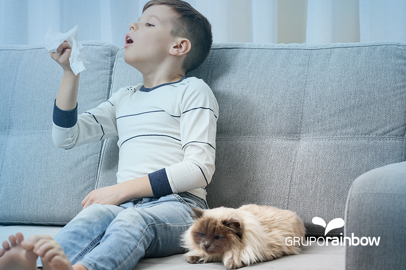 COMO SABER SE MEU FILHO TEM ALERGIA A ANIMAIS?