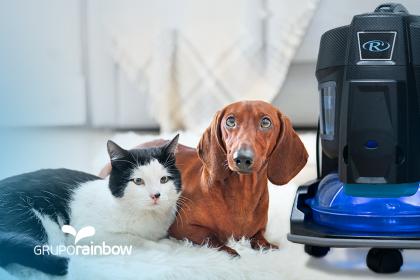 Tenho pets em casa, posso ter um Rainbow?